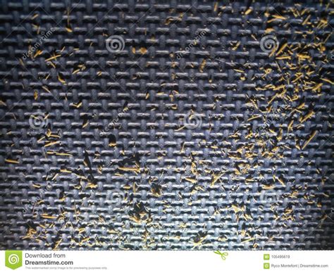 Close Up of Dirt on the Floor Stock Image - Image of floor, close ...