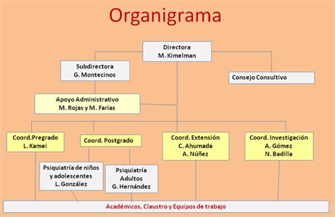 Departamento De Psiquiatria Y Salud Mental Sede Sur