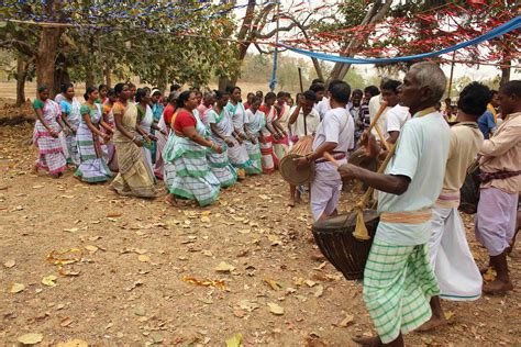 Adivasi Dance Forms Where 'Walking Is Dancing And Talking Is Singing'