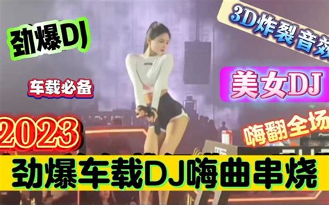 酒吧夜店中文dj舞曲串烧《车载dj低音炮》劲爆dj嗨不停，节奏超燃 韦兴 牛 哔哩哔哩视频