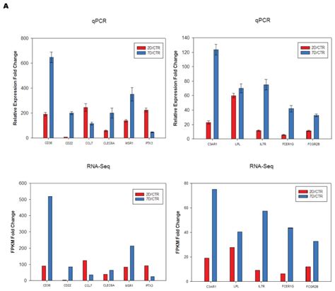 Relative Expression Fold Change From Qrt Pcr Were Calculated Using