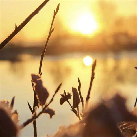 Sauna Wellness In Ostfriesland Freilenzen In Dornum