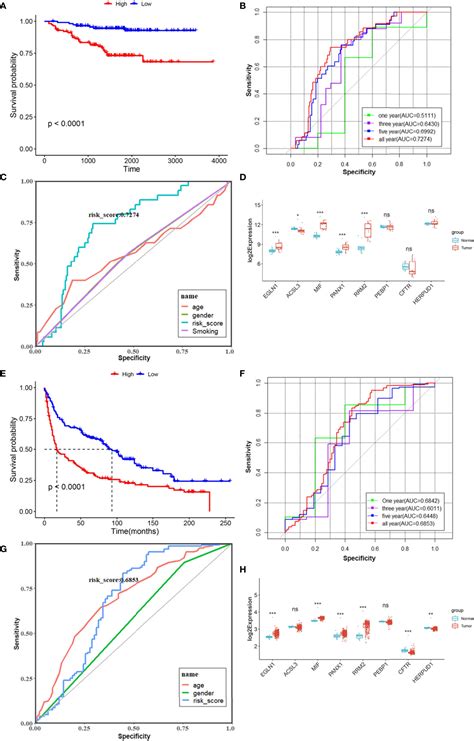 Frontiers Construction Of A Novel Ferroptosis Related Gene Signature