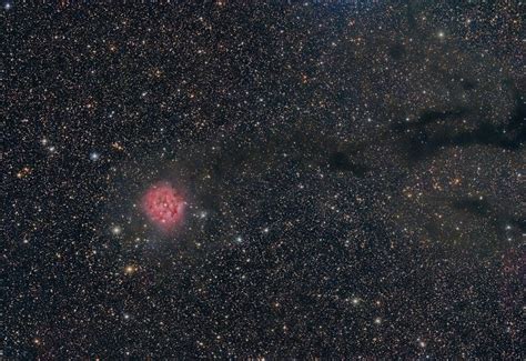 Cocoon Nebula Stardust Observatory