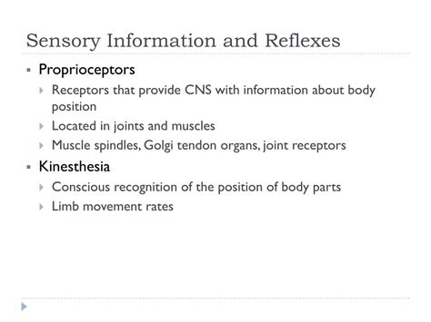 Ppt The Nervous System Structure And Control Of Movement Dr Kyle