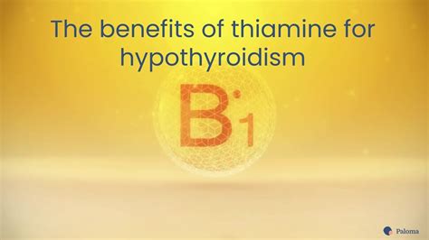 Benefits Of Thiamine For Hypothyroidism YouTube