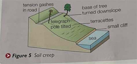 Coastal Systems And Landscapes Weathering Mass Movement And Runoff