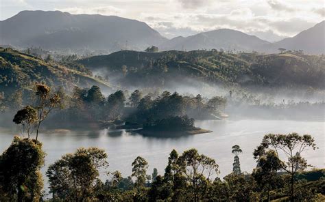 Sri Lanka Reisen Str Nde Safariparks Und Spektakul Res Teeland Auf