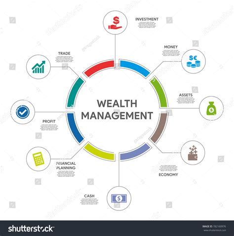 Wealth Management Infographic Concept Stock Vector Royalty Free 782160976 Shutterstock