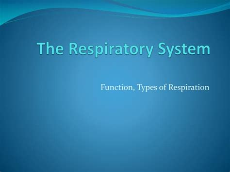 Ppt The Respiratory System Powerpoint Presentation Free Download