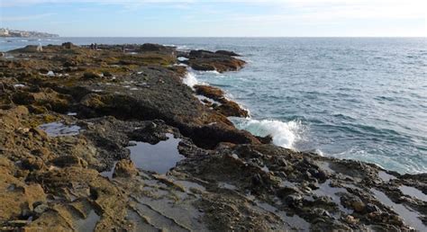 Premium Photo Beautiful Tide Pools At Treasure Island Beach In Laguna