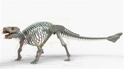 3D Ankylosaurus Rigged Skeleton model - TurboSquid 2131467