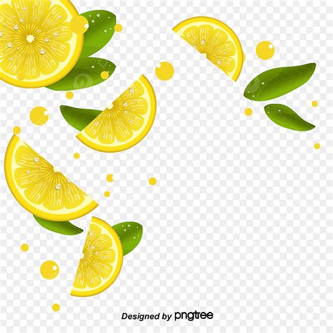 gambar buah jeruk png vektor psd  clipart  background