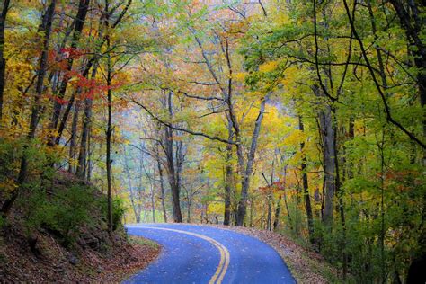 Roads In The West Virginia Mountains West Virginia Country Road