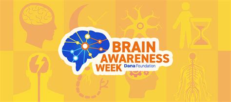 Brain Awareness Week—celebrating Its 26th Anniversary Mdpi Blog