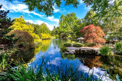 Asian Valley - Asian Garden at Lewis Ginter Botanical Garden