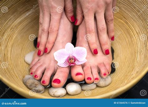 Female Feet in Spa Bowl with Sea Salt, Foot Bath. Stock Photo - Image of fresh, pebbles: 67264576