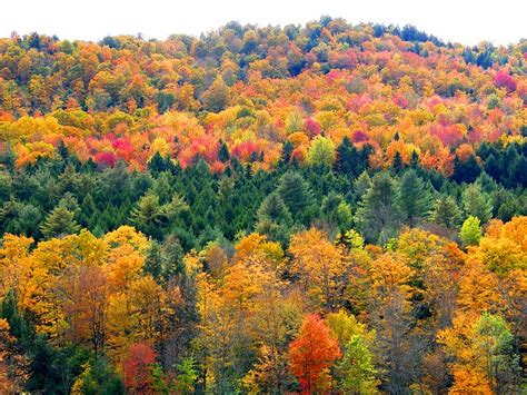 Fall Colors Stanley Zimny Thank You For Million Views Flickr