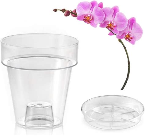 Porto Transparent Flowerpot With Support For Orchids With Drainage