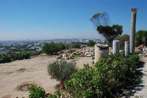 Dsc0346 The Ruins On Byrsa Hill Porkchop King Flickr