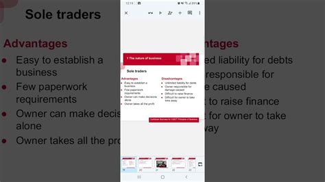 Advantages And Disadvantages Of Sole Trader Youtube