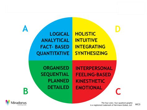 The Power Of An Hbdi Team Session Miradorus