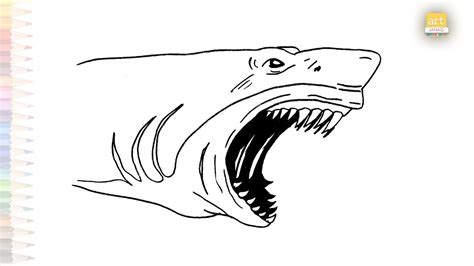 Angry Shark Head Drawing Angry Sharks Drawings How To Draw Angry