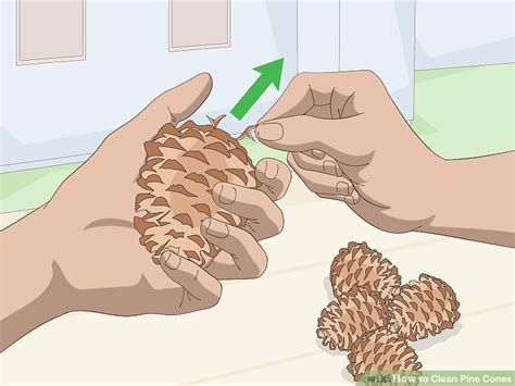 how to clean a pine cone