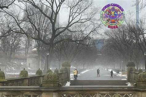 Gallery - Nyc Horse and Carriage Ride