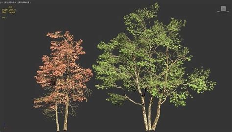 dynamic landscape maple maple tree 3D model animated rigged | CGTrader