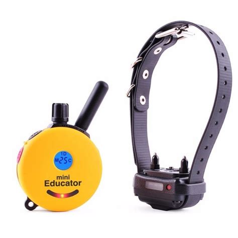 E-collar Educator ET-300 - Training collars - Electric-Collars.com