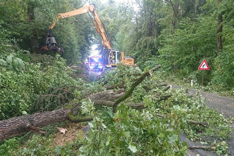 Zahlreiche Umgest Rzte B Ume Nach Unwetter Ff Preding