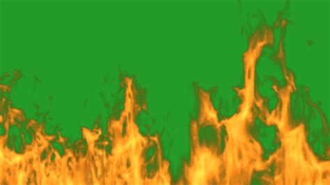 Fire Flames On A Green Screen