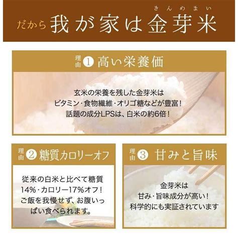 新米 金芽米 無洗米 令和4年産 長野県産 コシヒカリ 10kg 5kg×2袋 送料無料 きんめまい 米 コメ おこめ ごはん 最大12