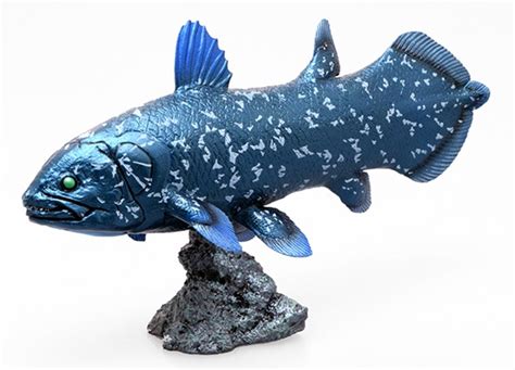 Ancient Fish Coelacanth Soft Model