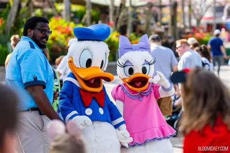 Daisy Duck Joins Donald Duck Meet And Greet At Disneys Hollywood Studios