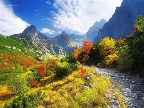 I Love Fall Beautiful Nature Beautiful Nature Wallpaper Cool Places