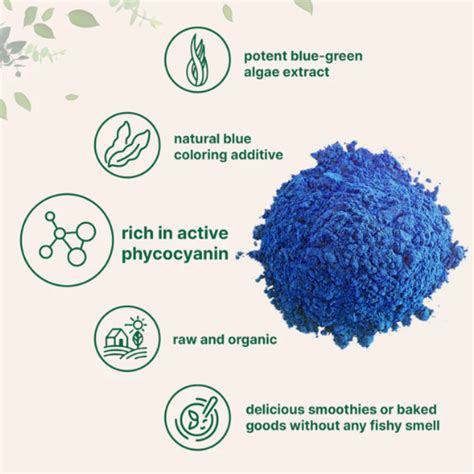 Organic Blue Spirulina Phycocyanin Powder 50g Légumes