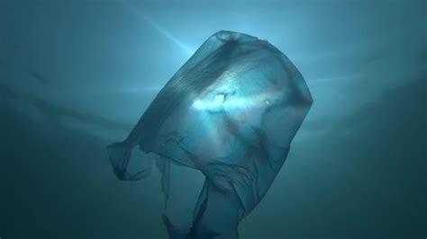 Plastic bag ocean Stock Video Footage - 4K and HD Video Clips | Shutterstock