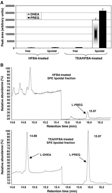 A GC MS Analyses Of PREG HFB And DHEA HFB Of Fractions Corresponding