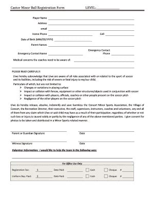 Fillable Online Castor Minor Ball Registration Form Level Consort Ca