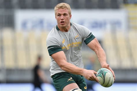 Stormers And Springbok Lock Pieter Steph Du Toit Is Named Sa Rugby