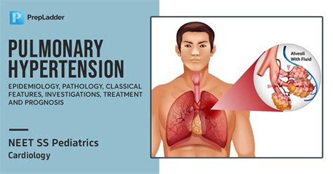 Pulmonary Hypertension Epidemiology Pathology Classical Features