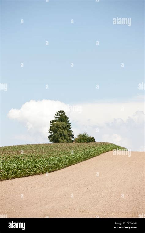 Crops Along Country Road Stock Photo Alamy