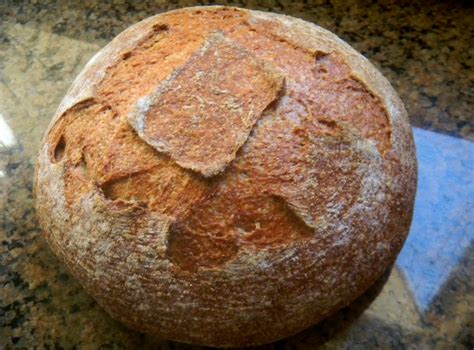 Double Levain Whole Wheat Half Sprouted At Hydration The