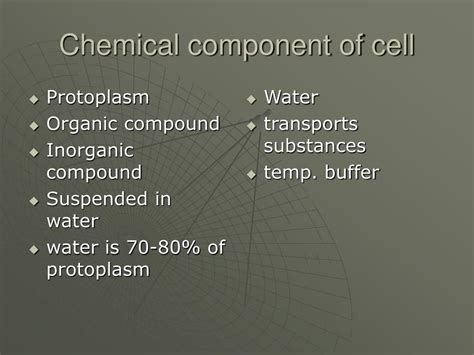 PPT - PROTOPLASM PowerPoint Presentation, free download - ID:856483