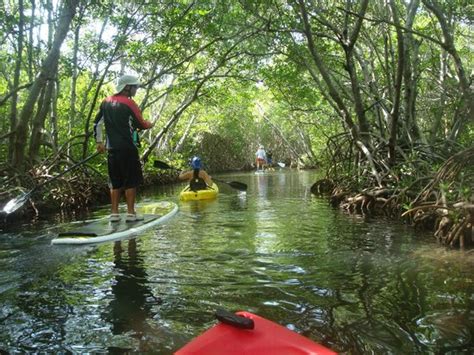 Bio Bay Kayak Swim Tour A Must Parguera Water Sports La Parguera