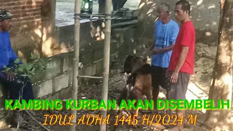 Live Streaming Kurban Kambing Malah Dapat Daging Kurban Dari