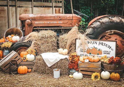 Pin by Ashley Flaming on Corn maze | Fall mini shoot, Fall halloween ...