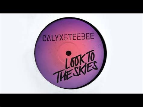 Calyx Teebee Look To The Skies 2019 320 Kbps File Discogs